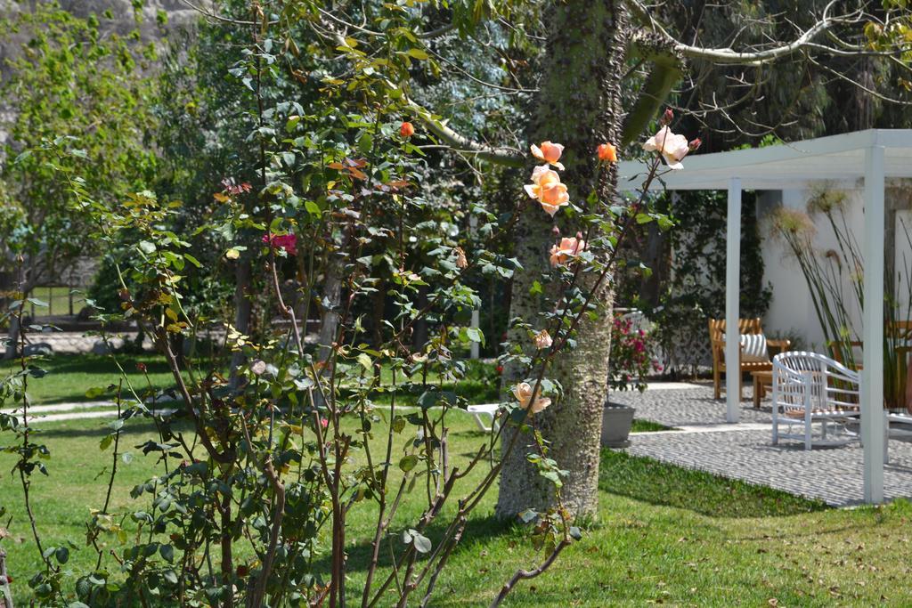 Hotel Los Palomos Lunahuaná Zewnętrze zdjęcie